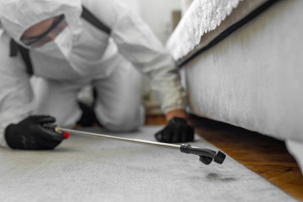 Professional Bed Bug Control technician working in Harrisville, UT