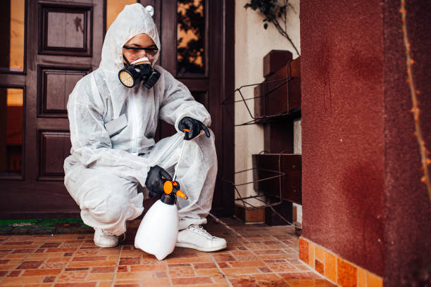 Reliable Bed Bug Control contractor in Harrisville, UT by Nex Pest Control
