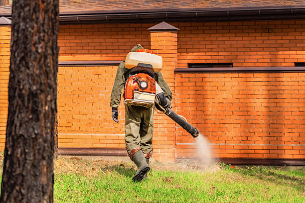 Trusted Termite Control service in Harrisville, UT - Nex Pest Control